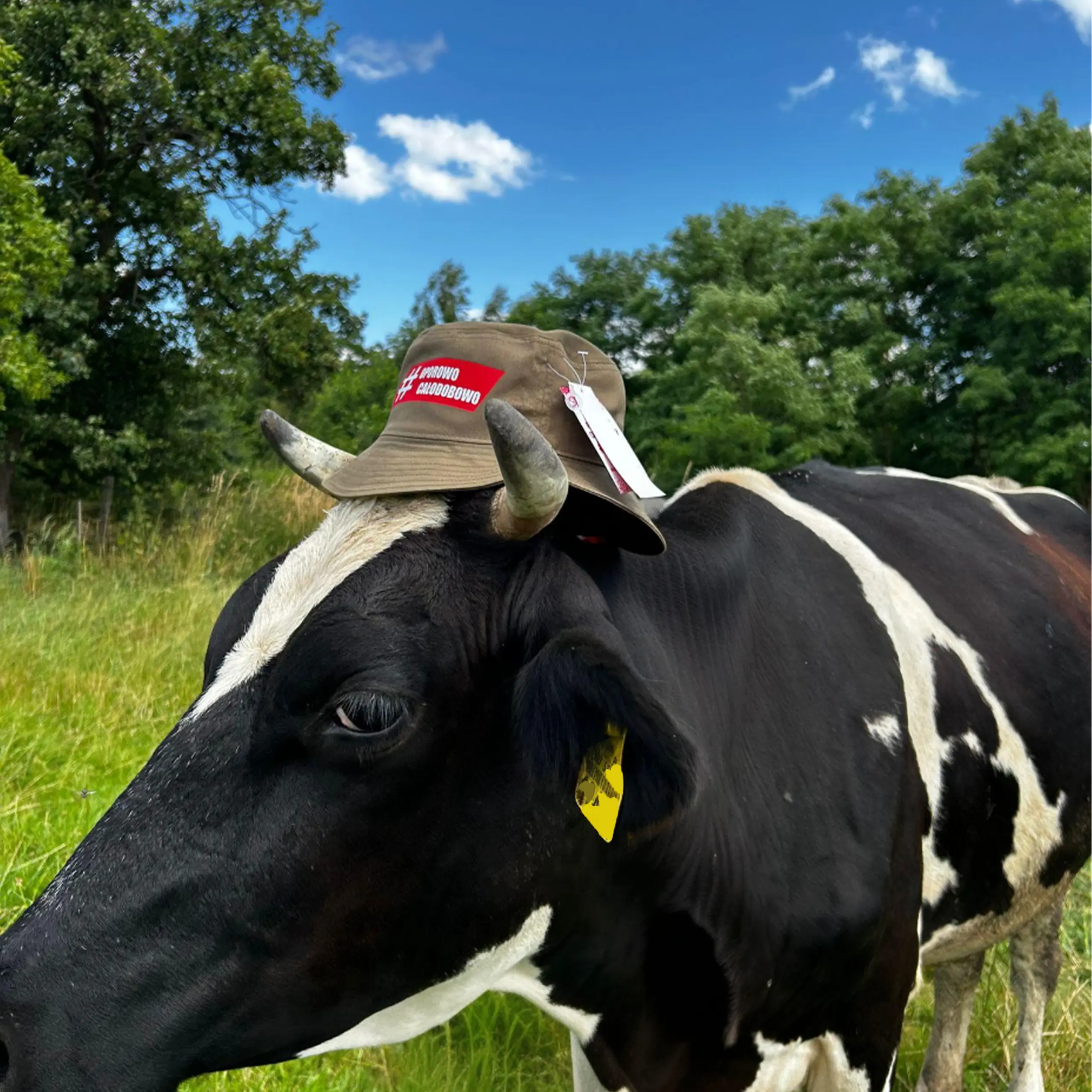 Rolnicza odzież z motywem #oporowo całodobowo